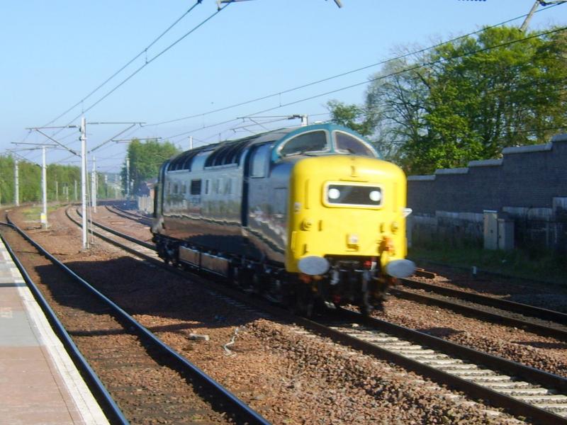 Deltic at Carstairs: 55022 on way to Stirling-Alloa official opening Photo of Deltic at Carstairs