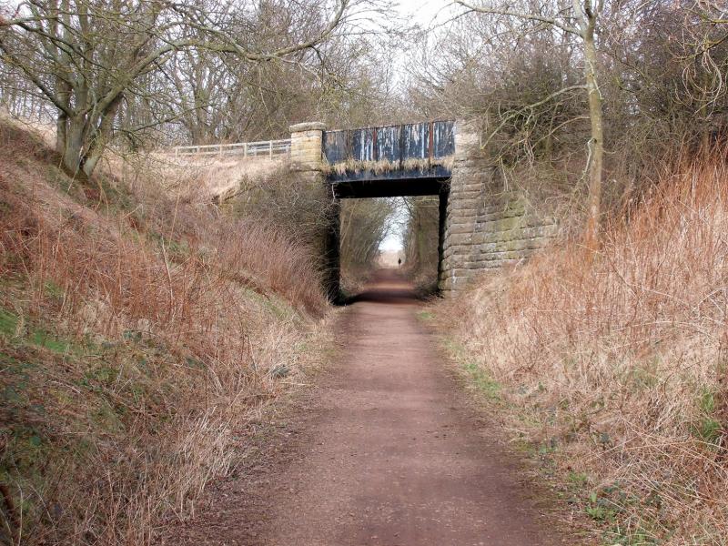 On the Saltoun Branch: Looking towards Lempockwells on the Saltoun Branch Photo of On the Saltoun Branch