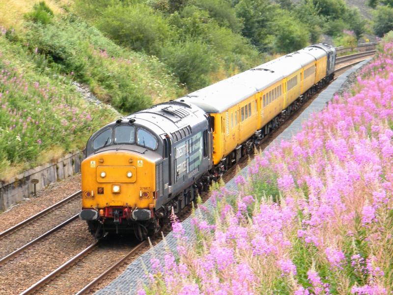 37667 @ Gleneagles - 06 August 2016: Heading north to Inverness, through the Gleneagles cutting, at 14.35, with Network Rail maintenance train '1Q77'. Photo of 37667 @ Gleneagles - 06 August 2016