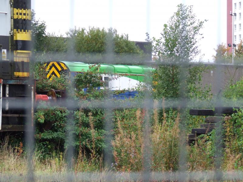 Class 08 at Glasgow Works: Different Class 08 at Glasgow Works 15 Oct 2016 Photo of Class 08 at Glasgow Works