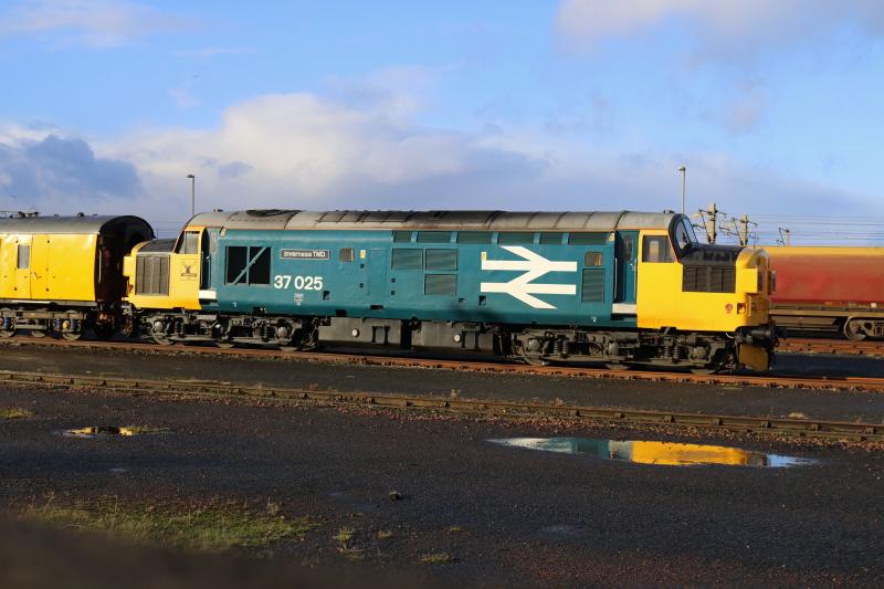 37025 on test train in Falkland yard: Photo of 37025 on test train in Falkland yard