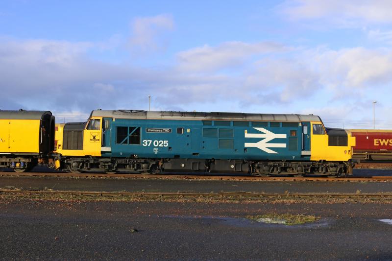 37025 stabled in Falkland yard: Photo of 37025 stabled in Falkland yard