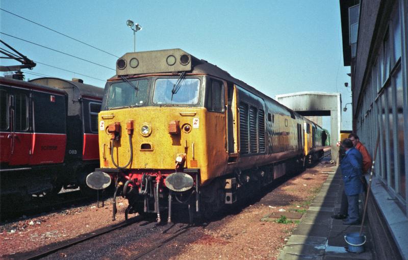 Photo of 50036 , 50009 at Corkerhill .14th May 1988.