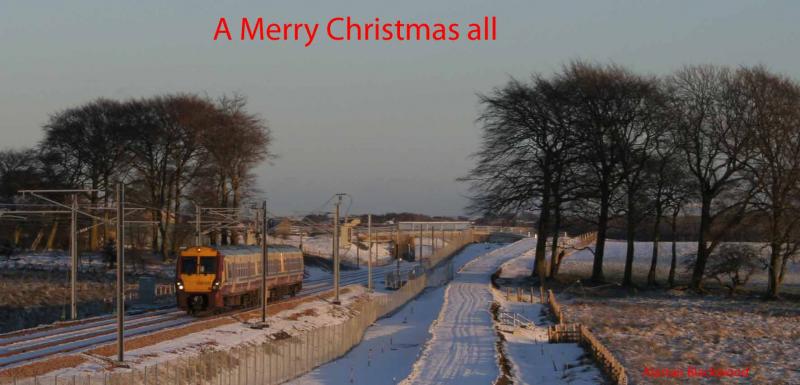 A Merry Christmas: Photo of A Merry Christmas