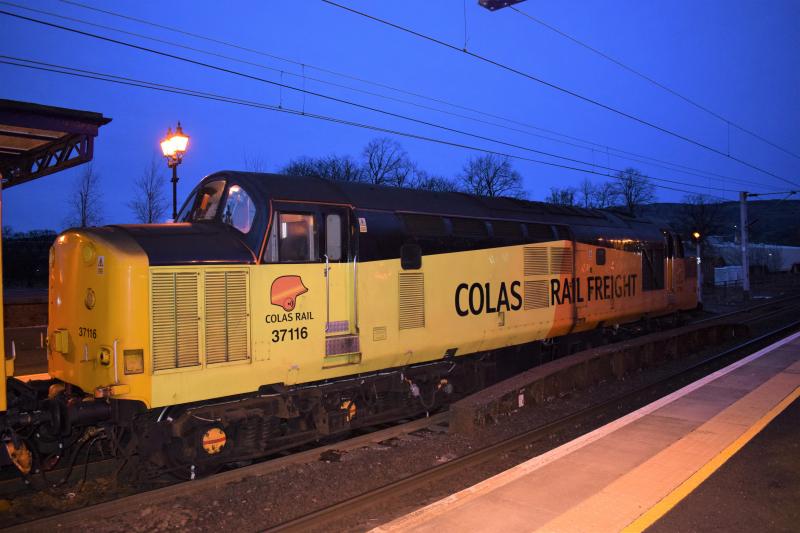 37116 Dumbarton Central: Colas 37 37116 at the head of Fort William - Mossend train at Dumbarton Central on 9 March 2017 Photo of 37116 Dumbarton Central