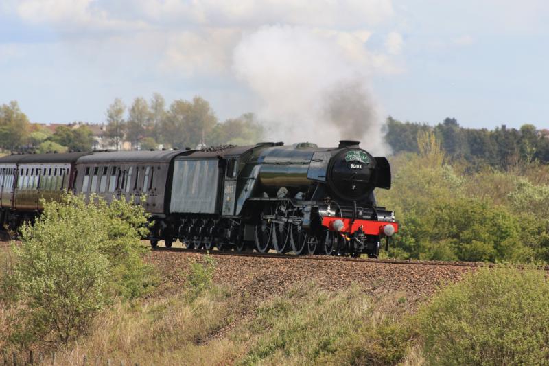 The Fife Circle: 60103 enters Cowdenbeath on the morning run . Photo of The Fife Circle