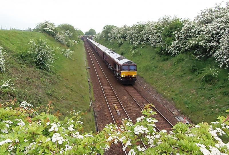 1Z60 London Vic- Garelochhead 66743: 10 hrs into its winding journey via the Settle-Carlisle and the GSW, Royal Scotsman liveried 66743 approaches Lugton ant 18 35hrs, Right on time Photo of 1Z60 London Vic- Garelochhead 66743