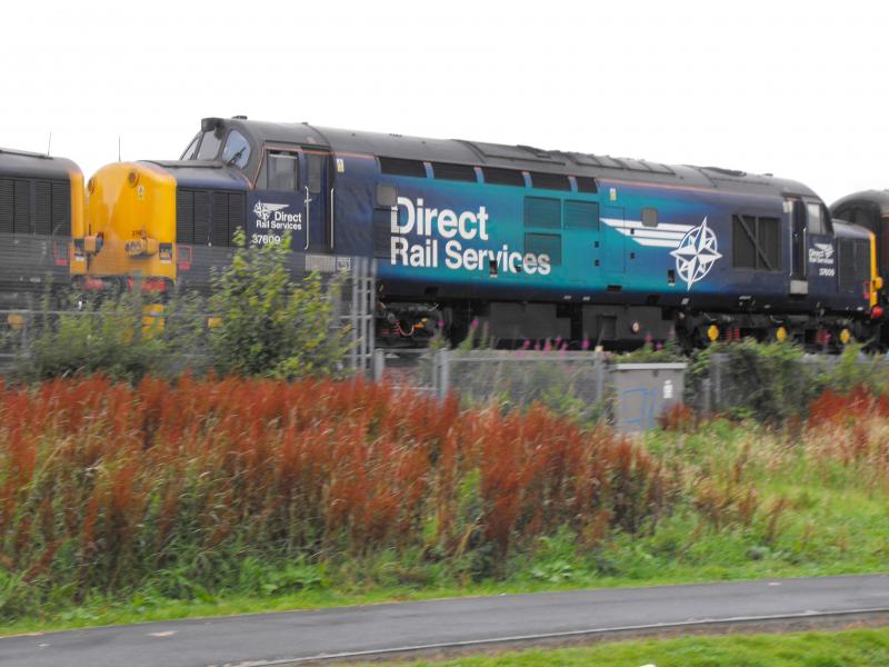 1Z37 0750 Edinburgh to Oban Northern Belle: 37602 leads 37609 as they approach Carmuirs West with the Northern Belle this morning. Photo of 1Z37 0750 Edinburgh to Oban Northern Belle