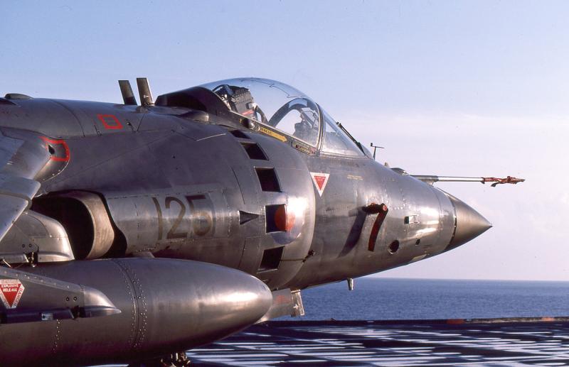 Sea Harrier: These kept landing on my roof. Photo of Sea Harrier