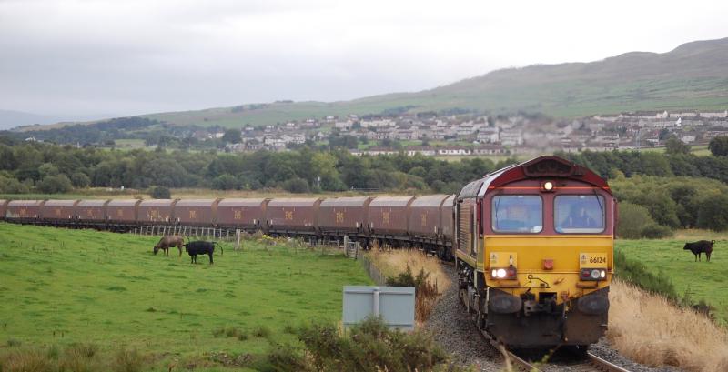 Cowshed: Not the most intelligent of creatures, cows still get excited by the sight of a Class 66. 66124 approaching Boig Rd crossing with 4R92 Falkland-Greenburn on 26/8/08 Photo of Cowshed