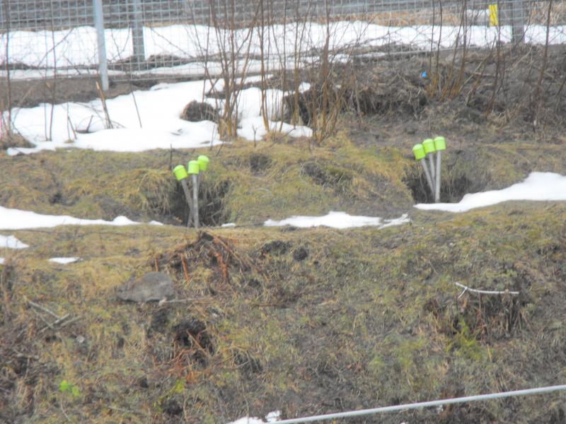 Green covered items on embankment: Just up from the mini overhead wire support. At the top of the embankment are these three items. With green covers on the top of them. Photo of Green covered items on embankment