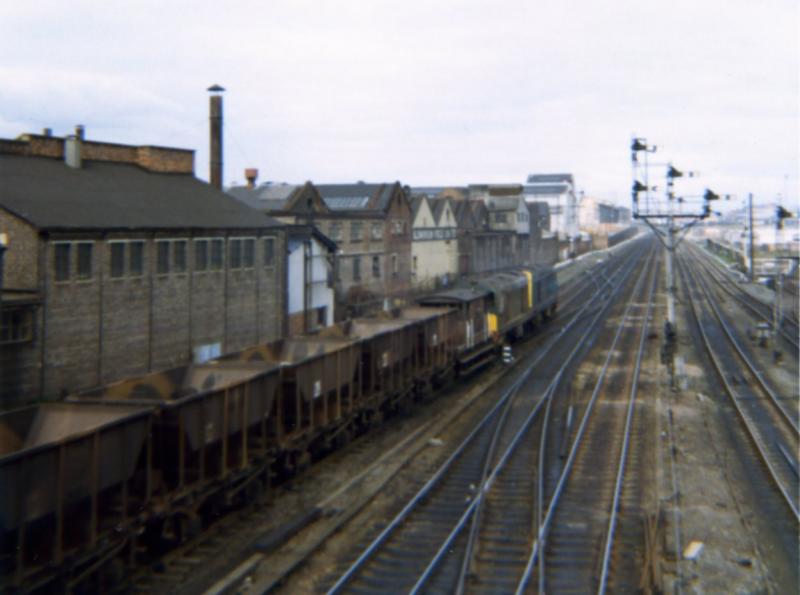 Photo of Terminus bound