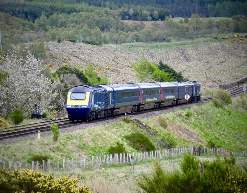 Photo of HST trainer at Culloden Moor