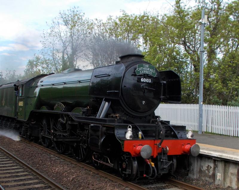 Flying Scotsman at Dalmeny: 60103 hauls the lunchtime Fife Circle tour back toward Edinburgh on 20 May 2018. Photo of Flying Scotsman at Dalmeny