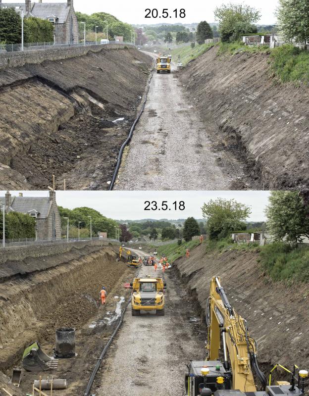WIP STONEYWOOD LKG TO CITY CENTRE.jpg: ONE WAY OF GETTING RID OF THE ROSEBAY WILLOW HERB Photo of WIP STONEYWOOD LKG TO CITY CENTRE.jpg