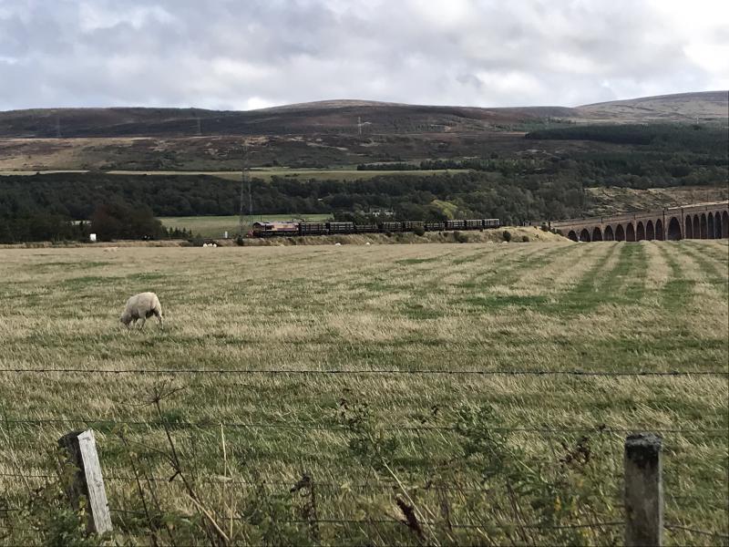 Culloden derailment: The derailment at Culloden. DB report its cause as a fallen tree. Photo of Culloden derailment