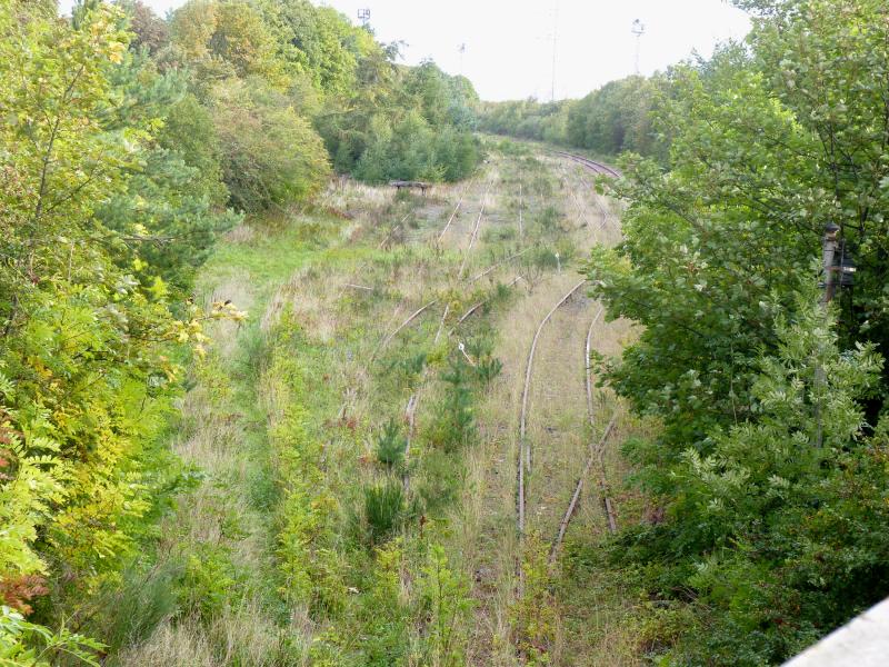 Photo of Cockenzie Power station reception sidings September 2018