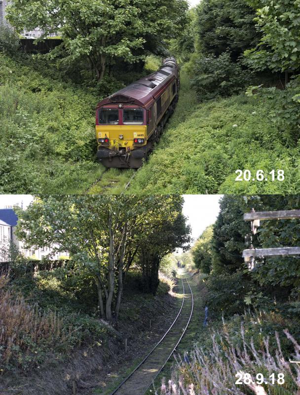 WATERLOO BRANCH CHANGES (2).jpg: Photo of WATERLOO BRANCH CHANGES (2).jpg