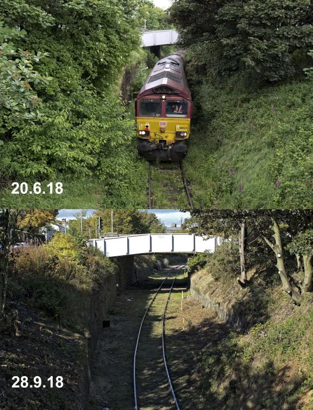 WATERLOO BRANCH CHANGES (1).jpg: GREENERY CUT BACK PENDING 11 WEEKS OF TRACK RENEWAL ABOUT TO COMMENCE ON THE WATERLOO BRANCH.
NICE TO SEE THE 1 1/4 MILE POST VISIBLE AGAIN. Photo of WATERLOO BRANCH CHANGES (1).jpg