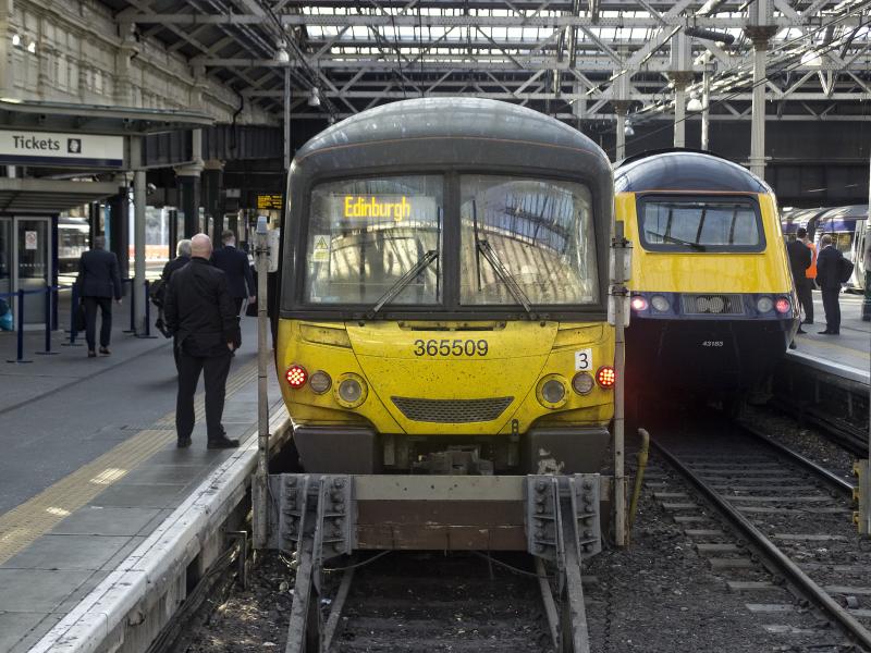 HAPPY HAPPY HAPPY! (1).jpg: A TRIO OF SHOTS AT WAVERLEY EARLY AFTERNOON 10.10.18.
GO ON---ADMIT IT, THEY MAKE YOU SMILE TOO! Photo of HAPPY HAPPY HAPPY! (1).jpg