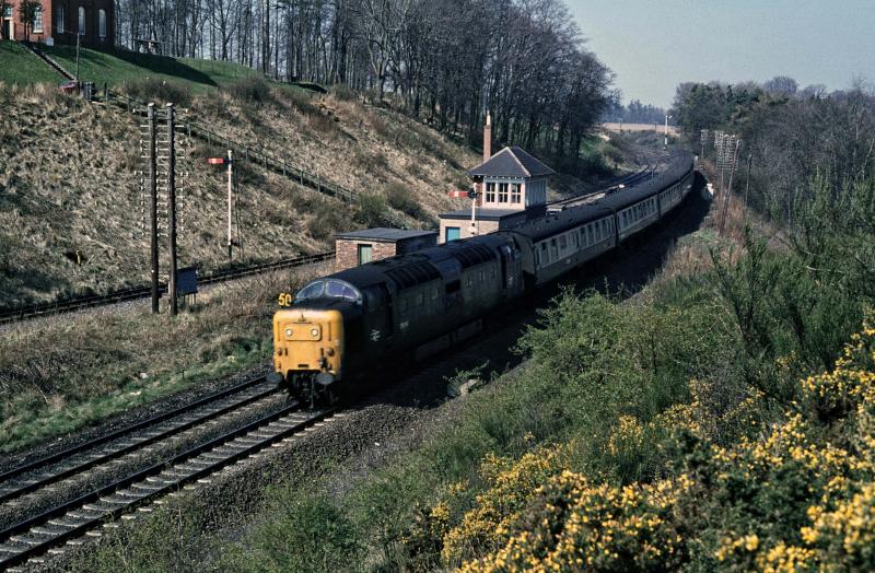 55014 KINNABER ON 12.40 ABDN-ED 10.4.81.jpg: Photo of 55014 KINNABER ON 12.40 ABDN-ED 10.4.81.jpg