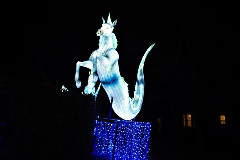 Edinburgh Zoo Kelpie Lantern: Chinese lantern at Edinburgh Zoo Photo of Edinburgh Zoo Kelpie Lantern