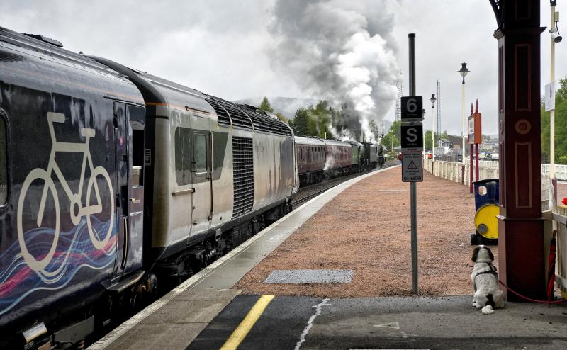 FLYING SCOTSMAN- MAYFLOWER AND ADMIRER AVIEMORE.jpg: WONDERFUL DOG CLEARLY A STEAM ENTHUSIAST RATHER THAN DIESEL Photo of FLYING SCOTSMAN- MAYFLOWER AND ADMIRER AVIEMORE.jpg