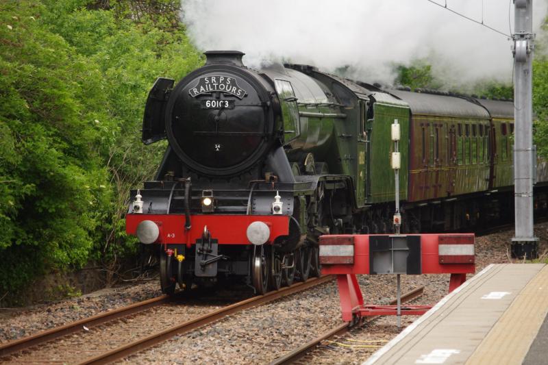 Flying Scotsman on tour: Seen passing Alloa, on the first Fife and Forth Circle SRPS railtour, 60103 gets up a good head of steam Photo of Flying Scotsman on tour
