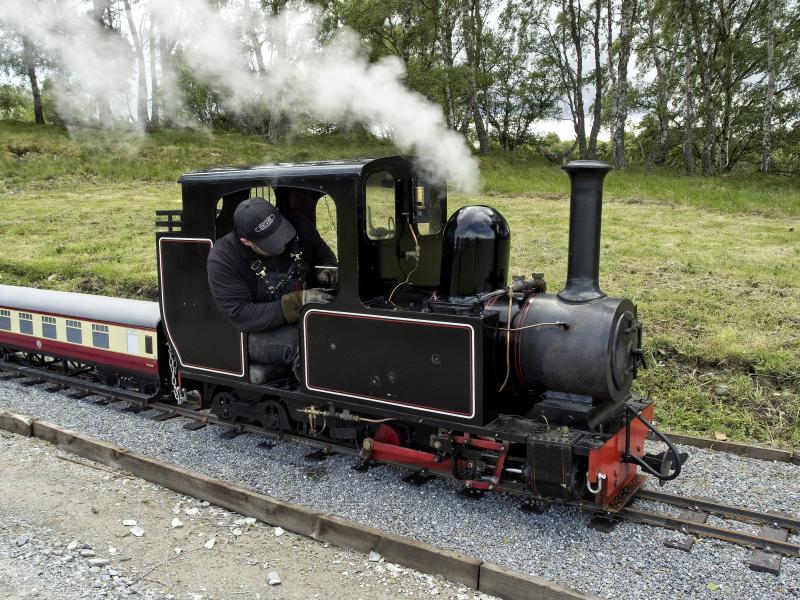 GOSE MINIATURE RAILWAY 23.6.19 (3).jpg: Photo of GOSE MINIATURE RAILWAY 23.6.19 (3).jpg