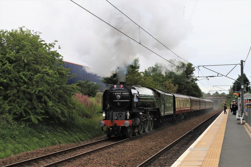 1Z60: 60163 Tornado passing Brunstane on 1Z60 08.57 Edinburgh to Aberdeen on 01/08/2019 Photo of 1Z60