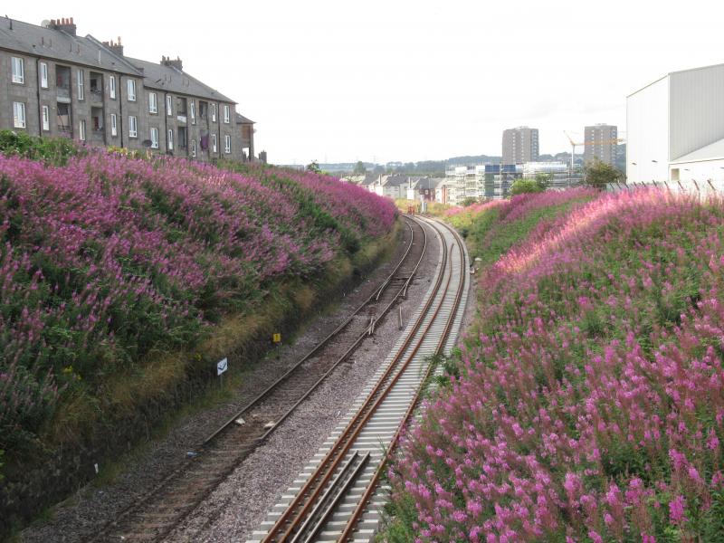 Kittybrewster redoubling: Work now proceeding as part of Dyce to Inverurie project in revamping layout at Kittybrewster. North of the St Machar Drive bridge the crossover and ground frame have been removed. Photo of Kittybrewster redoubling
