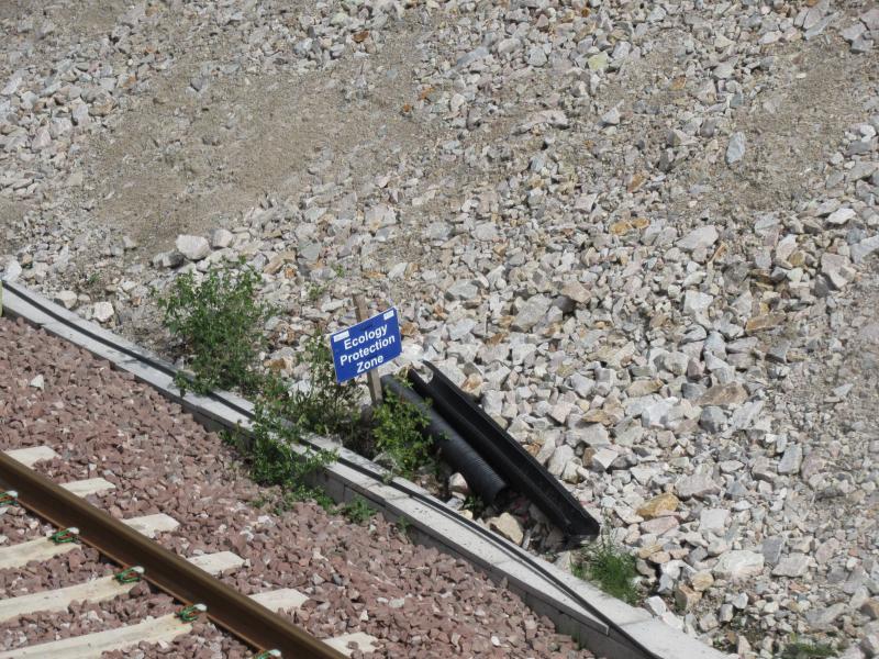 Sign at Kintore: Does it protect the weeds....or the debris? Photo of Sign at Kintore