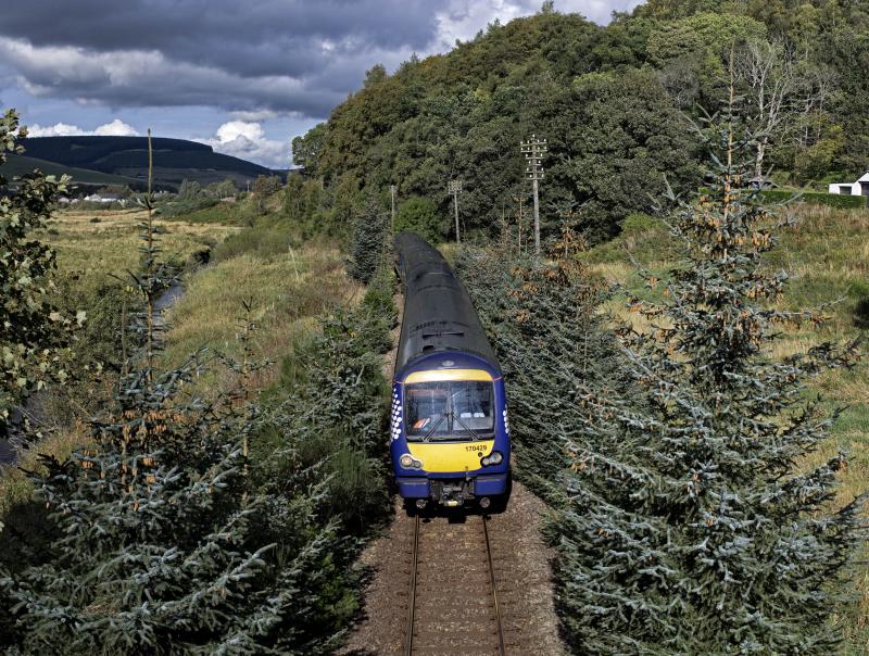 170429 ON 11.02 INV-ABDN 23.9.19.jpg: WONT BE TOO LONG BEFORE THESE TREES REALLY START TO CAUSE PROBLEMS.VIEW AT SLEDBRIG WITH GARTLY IN THE DISTANCE. Photo of 170429 ON 11.02 INV-ABDN 23.9.19.jpg