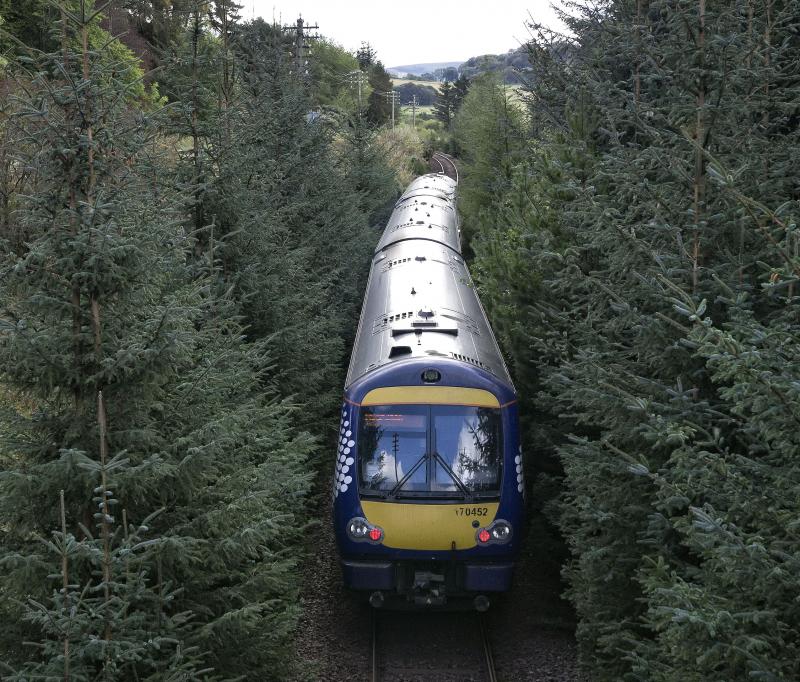170452.jpg: THREADING IT'S WAY THRO' THE XMAS TREES AT SLEDBRIG.27.9.19 Photo of 170452.jpg