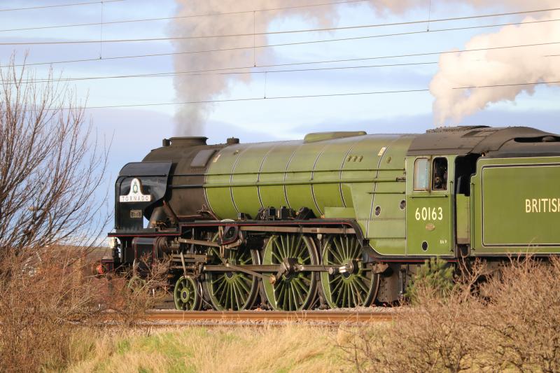 Tornado: A1 pacific 60163 Photo of Tornado