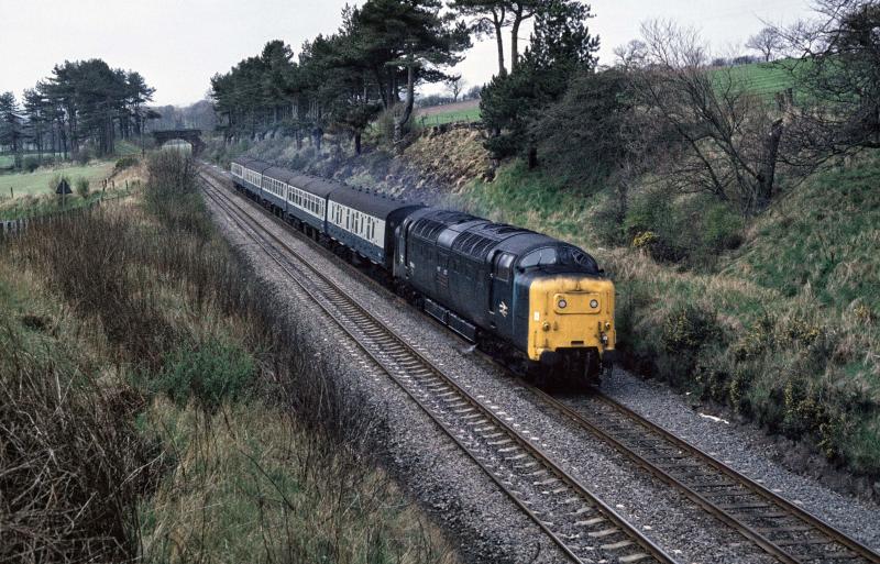 55014 LUNAN BAY 0N 08.50 ED-ABDN 17.4.81.jpg: Photo of 55014 LUNAN BAY 0N 08.50 ED-ABDN 17.4.81.jpg