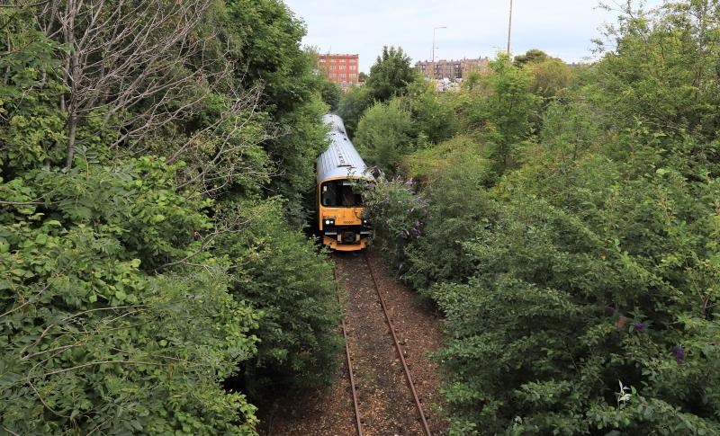 2Q08 hitting Buddleia: 950001 on 2Q08 10.06 Slateford to Falkland Yard passing Baileyfied Road on the Leith Branch hitting Buddleia bushes on 01/08/2020 Photo of 2Q08 hitting Buddleia