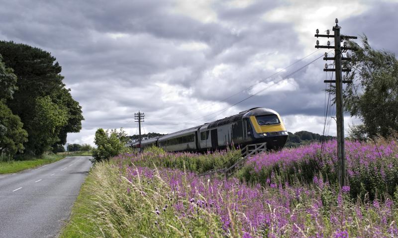 43126-125 on the 13.42 ABDN-IS 3.8.20 A.jpg: BANG ON TIME ,COASTING DOWN TO GARTLY THEN HUNTLY Photo of 43126-125 on the 13.42 ABDN-IS 3.8.20 A.jpg