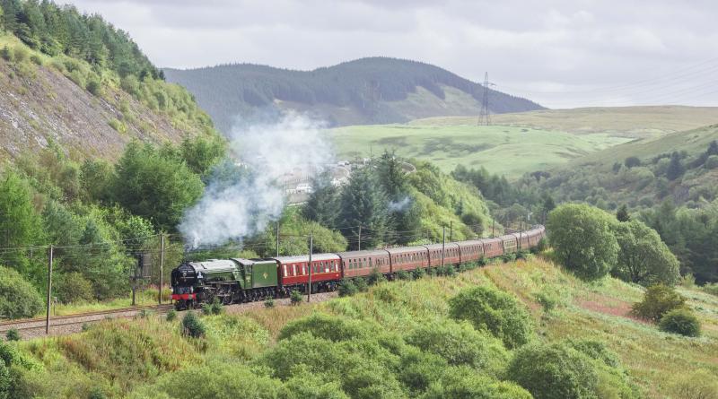 IZ62: Tornado on Beattock 12.9.20. Lineside foliage becoming a problem for this shot. Photo of IZ62