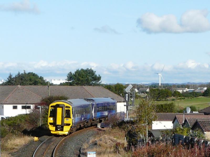 Photo of Barassie visitor