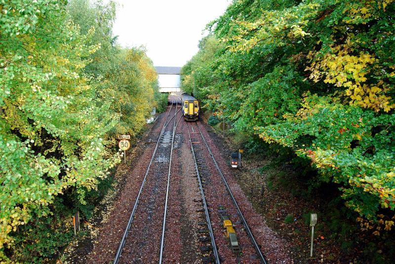 Strathbungo Before Pre-Electrification Work: A Before Picture
Plenty of Greenery to be got rid of Photo of Strathbungo Before Pre-Electrification Work