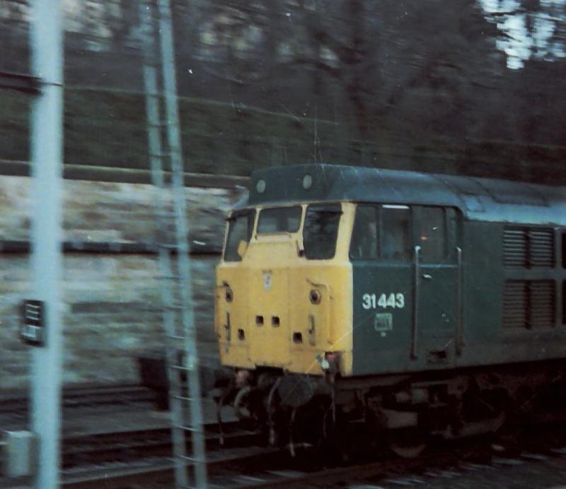 31443 at Waverley: 31443 at Waverley, running light prior to returning south. Photo of 31443 at Waverley
