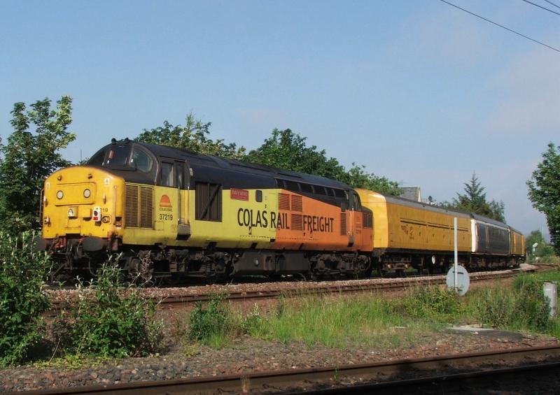 37219: 37219 & 9703 Derby-Fortwilliam Photo of 37219