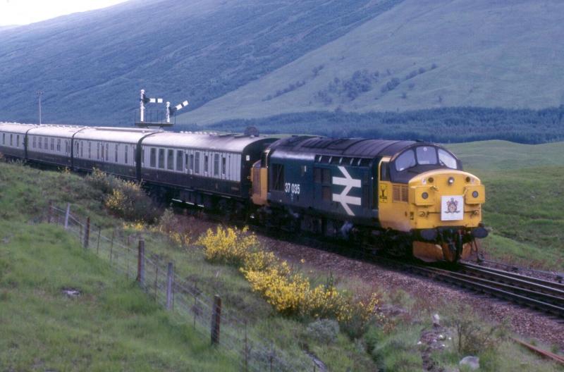 Royal Scotsman 1985: Royal Scotsman 1985
Photo of Royal Scotsman 1985