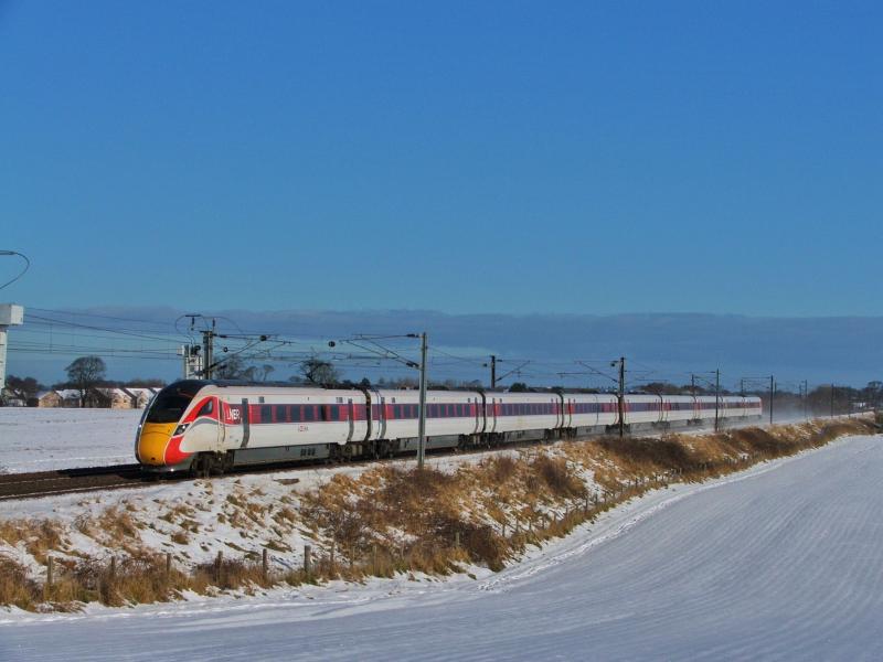 800106: Photo of 800106