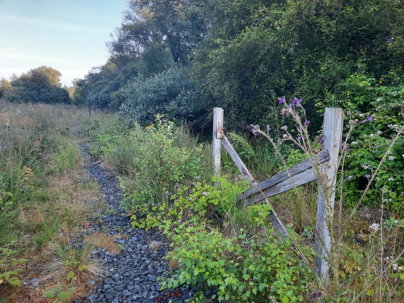 Tarmstedt: The remains of Tarmsted loop on Mull railway. July 2021 Photo of Tarmstedt