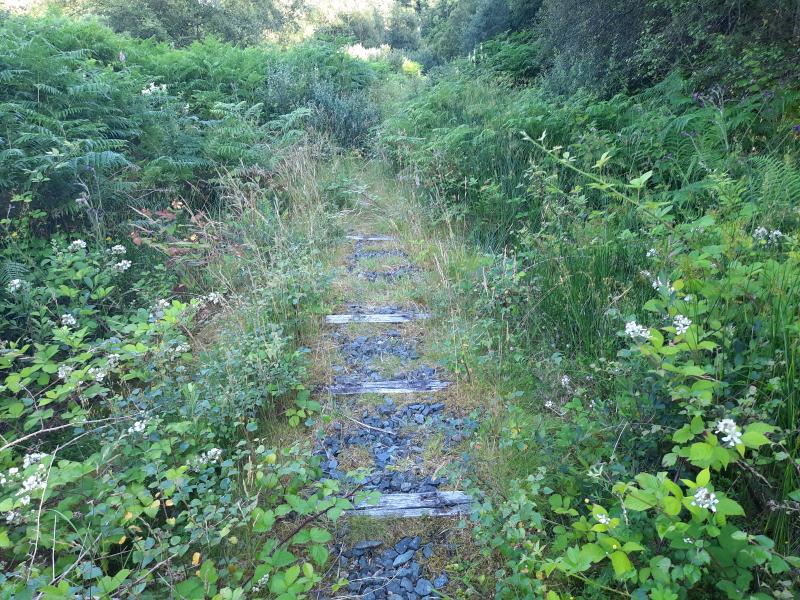 Mull Railway 2021: Sleepers remain in the trackbed just south of Tarmsted loop. Photo of Mull Railway 2021