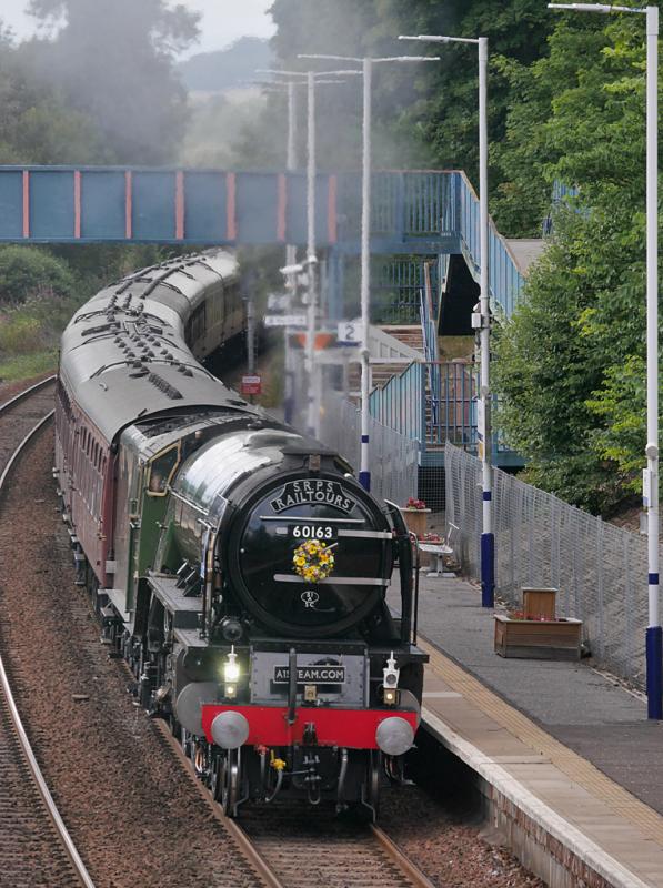 Dalgety Tornado: 60163 passes Dalgety Bay with the afternoon 'Forth Circle' on 15 August 2021. Photo of Dalgety Tornado