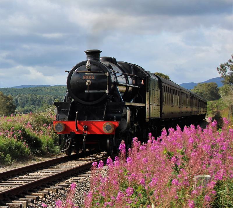 A return to steam of 5025 , after a complete overhaul .: Photo of A return to steam of 5025 , after a complete overhaul .