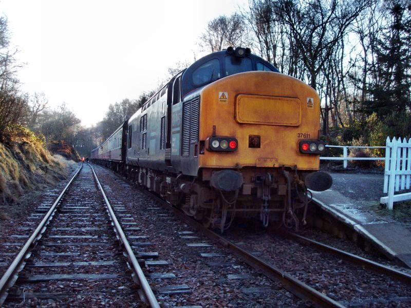 37611 birkhill: Photo of 37611 birkhill